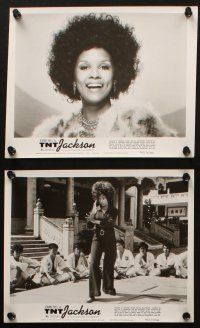 4c558 TNT JACKSON 7 8x10 stills '74 Jeanne Bell, sexy black hit woman, blaxploitation action!