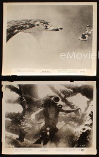 4c891 UNDER THE RED SEA 3 8x10 stills '52 cool underwater scuba diver coral reef images, Hans Hass!