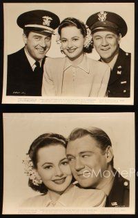 4c810 WELL GROOMED BRIDE 4 8x10 stills '46 sexy Olivia de Havilland, Ray Milland, Sonny Tufts!