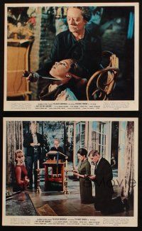 4c207 DIE DIE MY DARLING 4 color 8x10 stills '65 Bankhead, Powers, young Donald Sutherland!