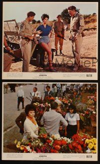 4c260 JUDITH 3 color 8x10 stills '66 Daniel Mann, cool images of Sophia Loren, Peter Finch!