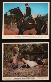 4c116 MAJOR DUNDEE 7 color 8x10 stills '65 Sam Peckinpah, Charlton Heston, Richard Harris, Hutton