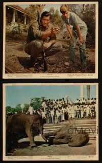 4c219 MAYA 4 color 8x10 stills '66 John Berry directed, cool Indian elephant & cobra images!