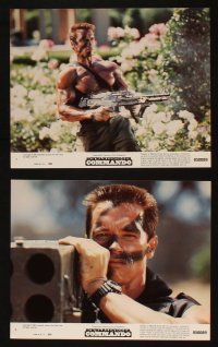 4c032 COMMANDO 8 8x10 mini LCs '85 Arnold Schwarzenegger, 13 year-old Alyssa Milano!