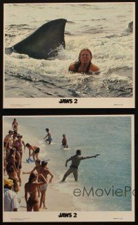 4c214 JAWS 2 4 8x10 mini LCs '78 Roy Scheider with gun, Lorraine Gary, cool shark images!
