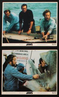 4c114 JAWS 7 8x10 mini LCs '75 Roy Scheider, Richard Dreyfuss & Shaw definitely need a bigger boat!