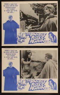 4e102 DR. PHIBES RISES AGAIN set of 8 Aust LCs '72 Vincent Price, Robert Quarry, Peter Cushing!