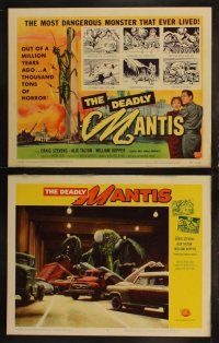 4f162 DEADLY MANTIS 8 LCs '57 classic art of giant insect on Washington Monument + great scenes!