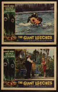 4f292 GIANT LEECHES 8 LCs '59 monsters rising from the depths of Hell to kill and conquer!