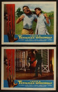 4f154 I WAS A TEENAGE WEREWOLF 8 LCs '57 AIP classic, teen Michael Landon turns into a monster!