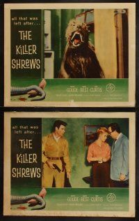 4f290 KILLER SHREWS 8 LCs '59 Ingrid Goude, James Best, includes two great monster scenes!