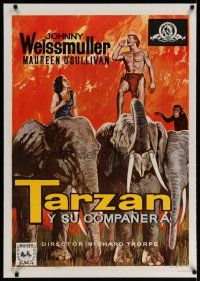 4h338 TARZAN & HIS MATE linen Spanish R68 Alvaro art of Johnny Weissmuller & Maureen O'Sullivan!