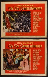 4k086 TEN COMMANDMENTS 8 LCs R60 Cecil B. DeMille, wonderful images of epic sets with many extras!