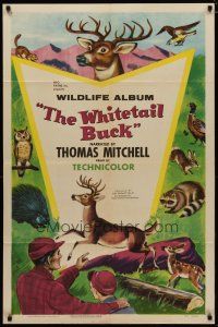 4m973 WHITETAIL BUCK 1sh '55 RKO nature documentary, art of deer & forest animals!