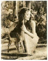 4p474 GREEN MANSIONS 7.5x9.5 still '59 c/u of beautiful smiling Audrey Hepburn with baby deer!