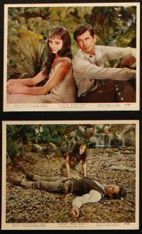 4p510 GREEN MANSIONS 8 color 8x10 stills '59 Audrey Hepburn, Anthony Perkins, directed by Mel Ferrer