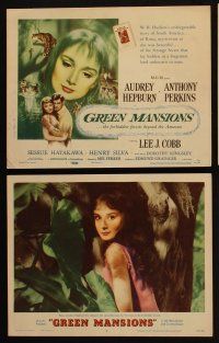 4p460 GREEN MANSIONS 8 LCs '59 pretty Audrey Hepburn, Anthony Perkins, directed by Mel Ferrer!