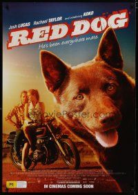 4r056 RED DOG advance DS Aust 1sh '11 cute image of Koko the dog & top cast on motorcycle!