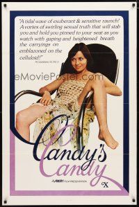 4z185 CANDICE CANDY 1sh '76 Sylvia Bourdon, x-rated, Al Goldstein loved it, Candy's Candy!