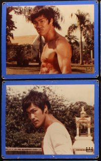 5a029 FISTS OF FURY 15 Swiss LCs '73 Bruce Lee classic, great kung fu images!