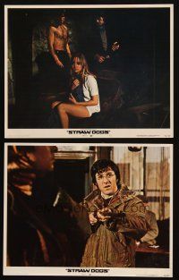 5c983 STRAW DOGS 2 LCs '72 directed by Sam Peckinpah, Dustin Hoffman & Susan George!