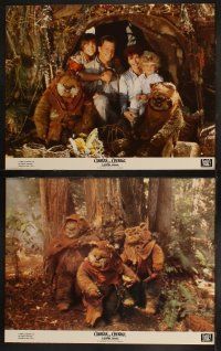 5c102 CARAVAN OF COURAGE 8 color 11x14 stills '84 George Lucas, An Ewok Adventure, Star Wars!