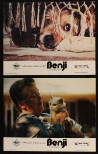 5c705 BENJI 4 LCs '74 directed by Joe Camp, classic dog movie, wonderful images!