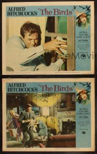 5c790 BIRDS 3 LCs '63 Alfred Hitchcock, Rod Taylor, Tippi Hedren, great bird attack scenes!