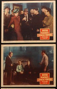 5c546 BOSTON BLACKIE'S CHINESE VENTURE 6 LCs '49 detective Chester Morris in Chinatown!