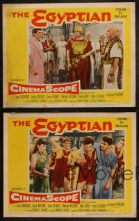 5c724 EGYPTIAN 4 LCs '54 great artwork of Jean Simmons, Victor Mature & Edmund Purdom!