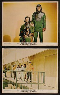 5c142 ESCAPE FROM THE PLANET OF THE APES 8 LCs '71 Roddy McDowall, Kim Hunter, Sal Mineo, Montalban