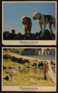 5c477 HOMEWARD BOUND 7 LCs '93 Walt Disney, great art of animals going down river!
