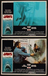 5c215 JAWS 8 LCs '75 Roy Scheider, Robert Shaw, Richard Dreyfuss, Steven Spielberg's shark classic!