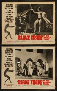 5c326 SLAVE TRADE IN THE WORLD TODAY 8 LCs '65 the smuggled motion pictures of a sheik's harem!
