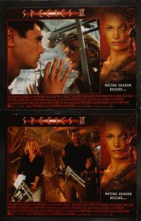 5c337 SPECIES II 8 LCs '98 Michael Madsen, sexy alien Natasha Henstridge, mating season begins!