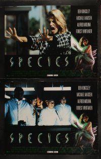 5c336 SPECIES 8 LCs '95 sexiest alien Natasha Henstridge, Ben Kingsley, Forest Whitaker, Molina!