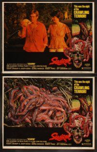 5c340 SQUIRM 8 LCs '76 gruesome Drew Struzan border art, it was the night of the crawling terror!
