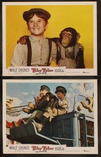 5c521 TOBY TYLER 7 LCs '60 Walt Disney, Kevin Corcoran, Mister Stubbs the chimpanzee, circus!