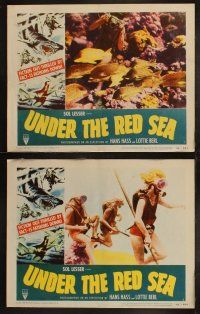 5c399 UNDER THE RED SEA 8 LCs '52 cool border art of scuba divers & sexy swimmer fighting shark!