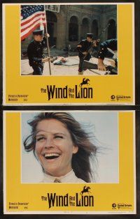 5c428 WIND & THE LION 8 LCs '75 Sean Connery & sexy Candice Bergen, directed by John Milius!
