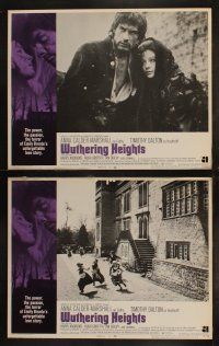 5c433 WUTHERING HEIGHTS 8 LCs '71 Timothy Dalton as Heathcliff, Anna Calder-Marshall as Cathy!