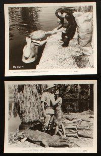 5d311 CANNIBAL ATTACK 15 8x10 stills '54 Johnny Weissmuller fighting guys in alligator suits, more!