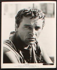 5d706 CLEOPATRA 4 8x10 stills '63 cool images of Richard Burton as Mark Antony!