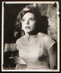 5d567 COLLECTOR 6 8x10 stills '65 Samantha Eggar tries to seduce Terence Stamp for her freedom!