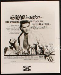 5d793 FOLLOW THAT DREAM 3 8x10 stills R80s great art and images of Elvis Presley, rock 'n' roll!