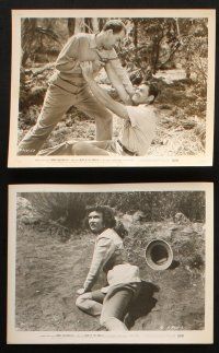 5d346 MARK OF THE GORILLA 12 8x10 stills '50 jungle explorer Johnny Weissmuller, Trudy Marshall!