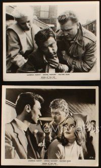 5d749 ROOM AT THE TOP 4 8x10 stills '59 Laurence Harvey, Heather Sears, Simone Signoret!