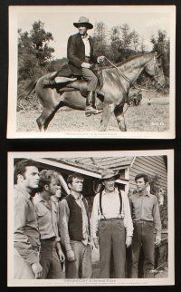 5d262 SHENANDOAH 48 8x10 stills '65 James Stewart, Doug McClure, Katharine Ross, Civil War!