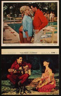 5d180 ELVIS PRESLEY 4 color 8x10 stills '60s the King in Harum Scarum, Clambake, & Spinout!