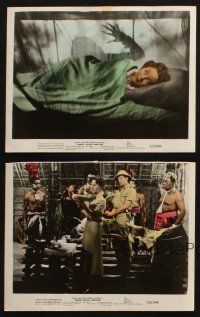 5d169 WHITE WITCH DOCTOR 5 color 8.25x10 stills '53 Susan Hayward & Robert Mitchum in Africa!